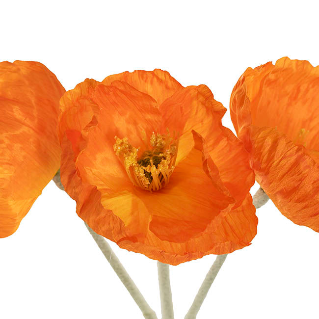 Large Poppy 3 Stem Bunch Orange (14cmDx61cmH)
