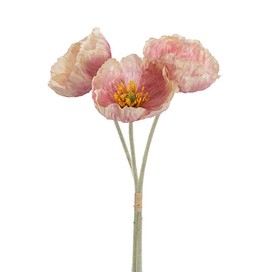 Large Poppy 3 Stem Bunch Blush Pink (14cmDx61cmH)