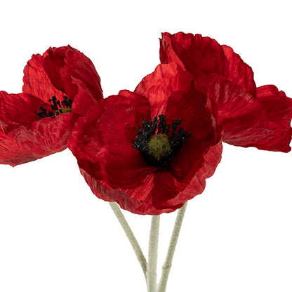 Large Poppy w Black Centre 3 Stem Bunch Red (14cmDx61cmH)