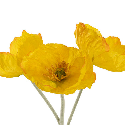 Large Poppy 3 Stem Bunch Yellow (14cmDx61cmH)
