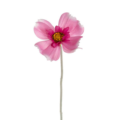 Queen Cosmos Stem Lilac (12cmDx56cmH)