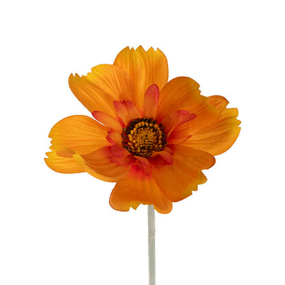 Queen Cosmos Stem Orange Yellow (12cmDx56cmH)