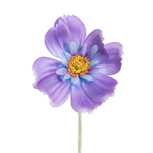 Queen Cosmos Stem Purple (12cmDx56cmH)