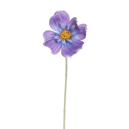 Queen Cosmos Stem Purple (12cmDx56cmH)