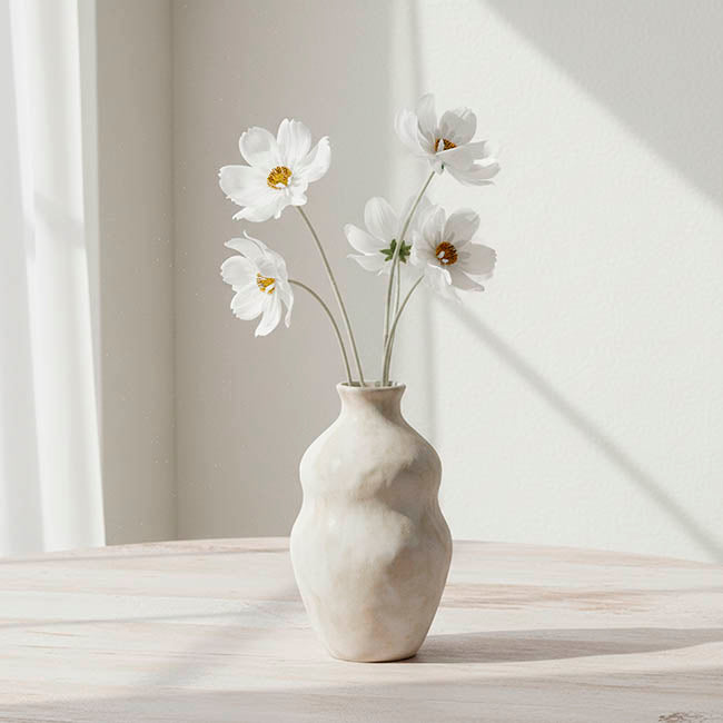 Queen Cosmos Stem White (12cmDx56cmH)