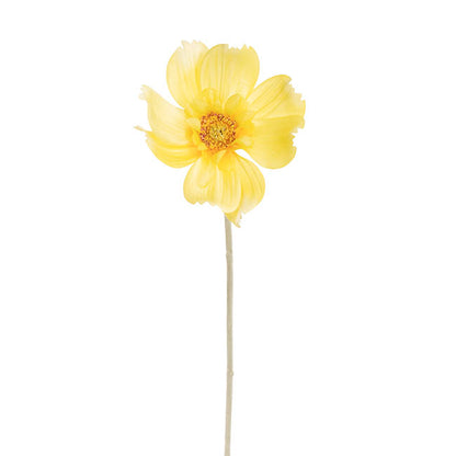 Queen Cosmos Stem Yellow (12cmDx56cmH)