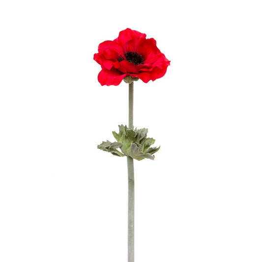 Poppy Flanders with Black Centre (55cmH) Red