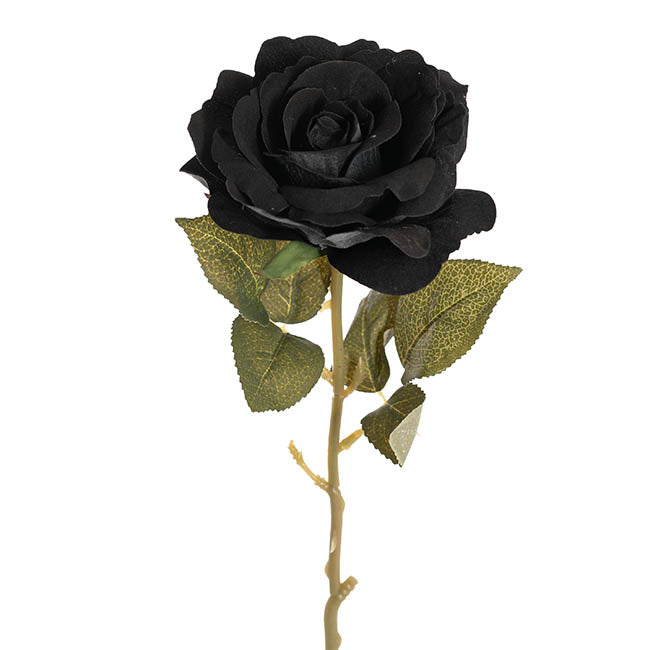 Event Velvet Rose Short Stem Black (11cmDx35cmH)