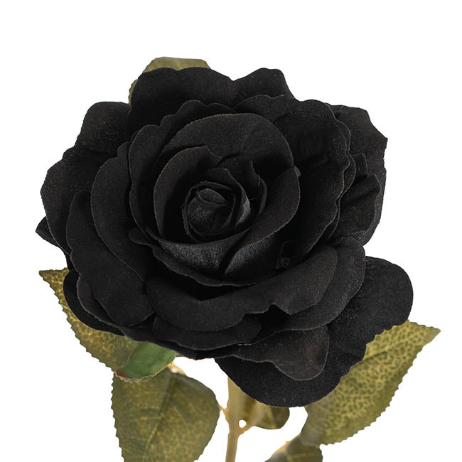 Event Velvet Rose Short Stem Black (11cmDx35cmH)