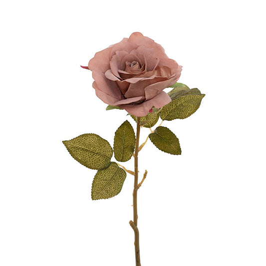 Event Velvet Rose Short Stem Sienna Brown (11cmDx35cmH)