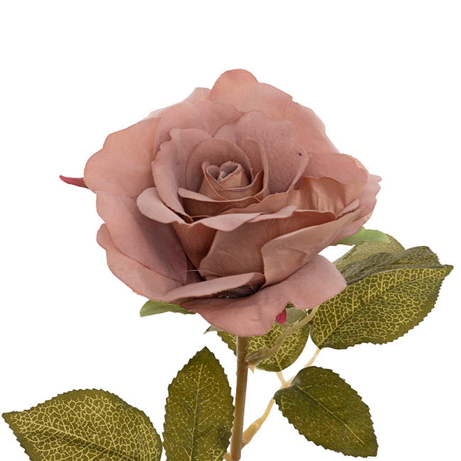 Event Velvet Rose Short Stem Sienna Brown (11cmDx35cmH)