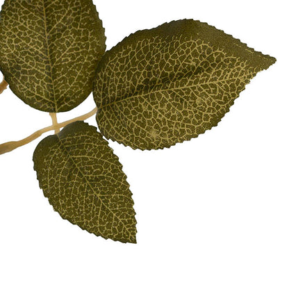 Event Velvet Rose Short Stem Apricot (11cmDx35cmH)