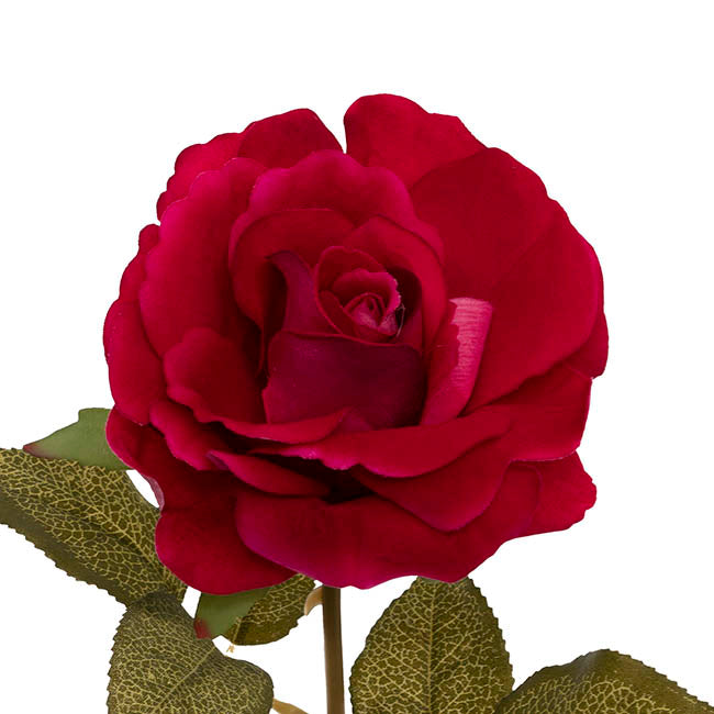 Event Velvet Rose Short Stem Hot Pink (11cmDx35cmH)