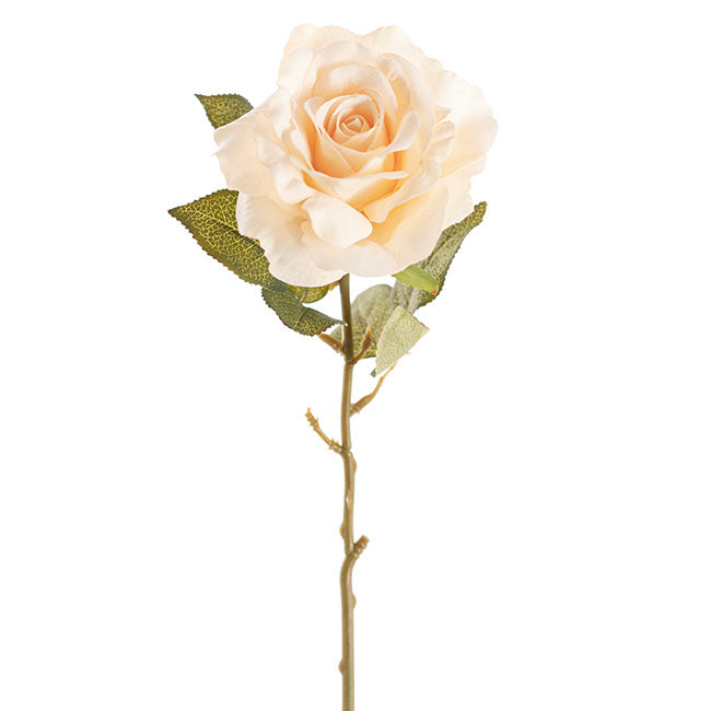 Event Velvet Rose Short Stem Soft Peach (11cmDx35cmH)