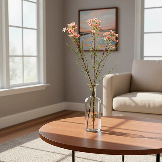 Australian Native Geraldton Wax Flower Peach (78cmH)