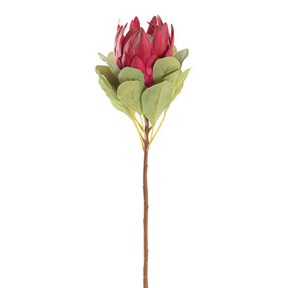 Native King Protea Dark Real Touch Red (73cmH)