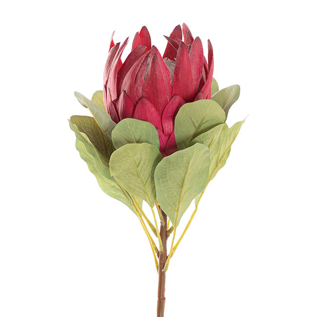 Native King Protea Dark Real Touch Red (73cmH)