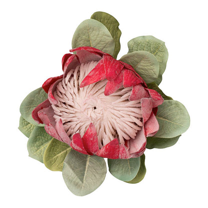 Native King Protea Dark Real Touch Red (73cmH)