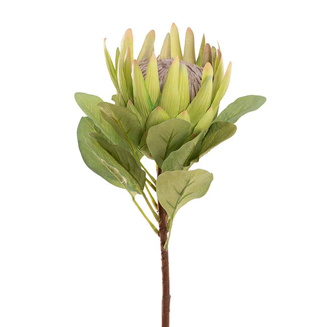 Real Touch Native King Protea Green (73cmH)