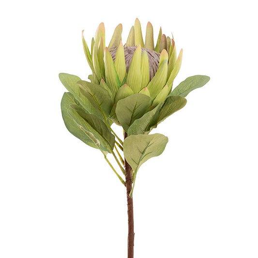 Real Touch Native King Protea Green (73cmH)