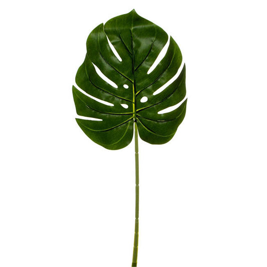 Philo Split Leaf Pick Dark Green (55cmH)