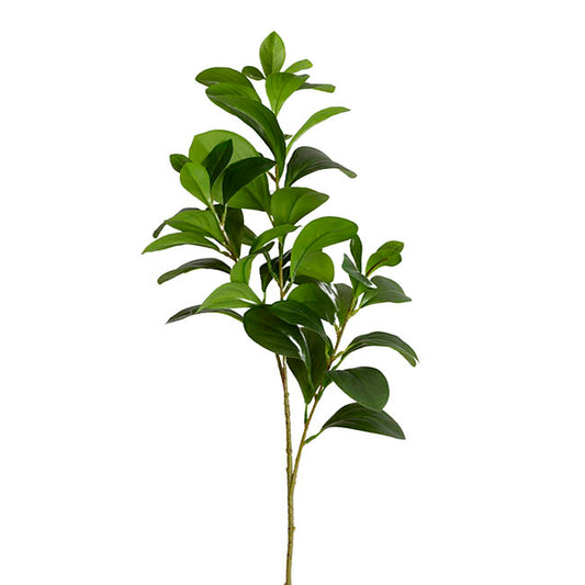 Artificial Real Look Peperomia Leaf Spray Green (65cmH)