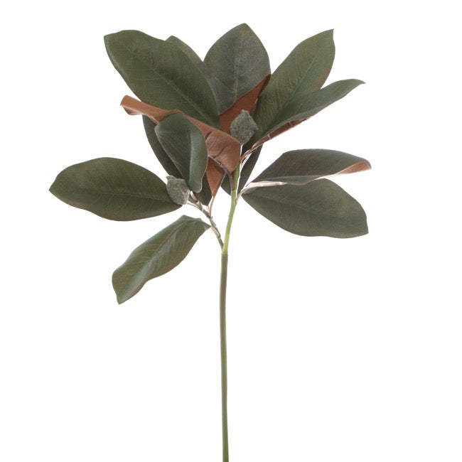 Magnolia Leaf Spray (57cmH)