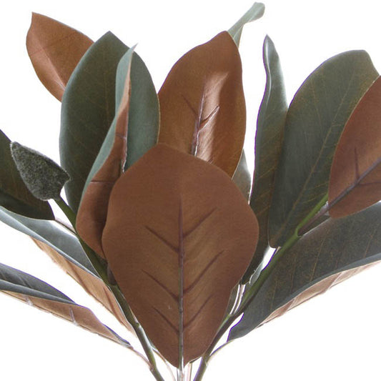 Magnolia Leaf Spray (57cmH)
