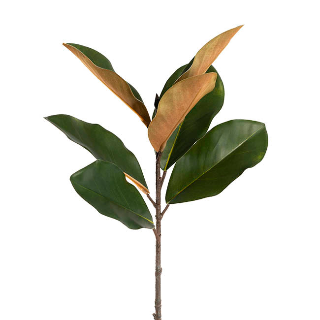 Real Touch Magnolia Leaf Spray Green (60cmH)