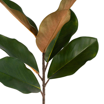 Real Touch Magnolia Leaf Spray Green (60cmH)