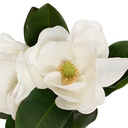 Real Touch Magnolia 2 Stem Bunch White (60cmH)