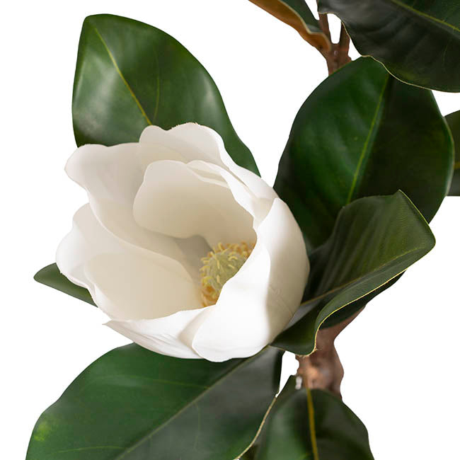 Faux Magnolia Tree Green (125cmH)
