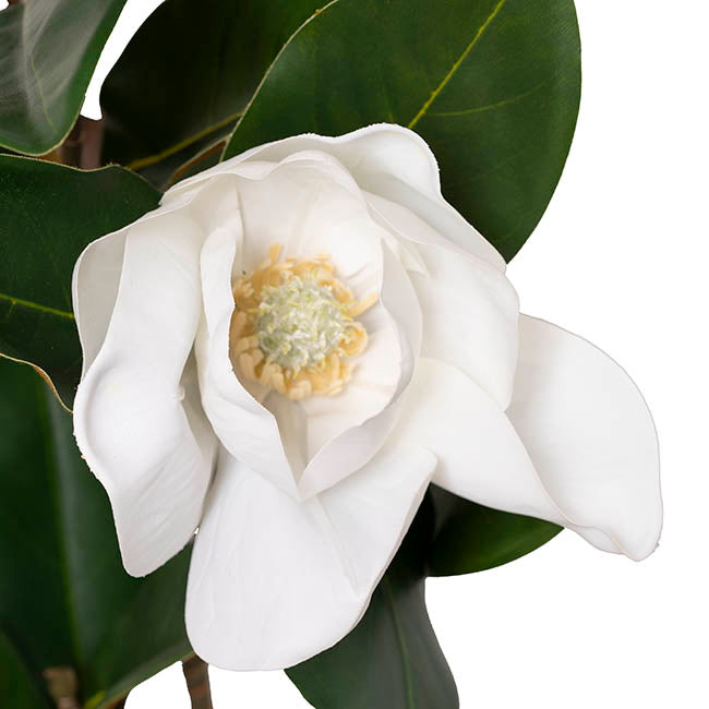 Faux Magnolia Tree Green (125cmH)