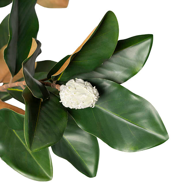 Faux Magnolia Tree Green (125cmH)