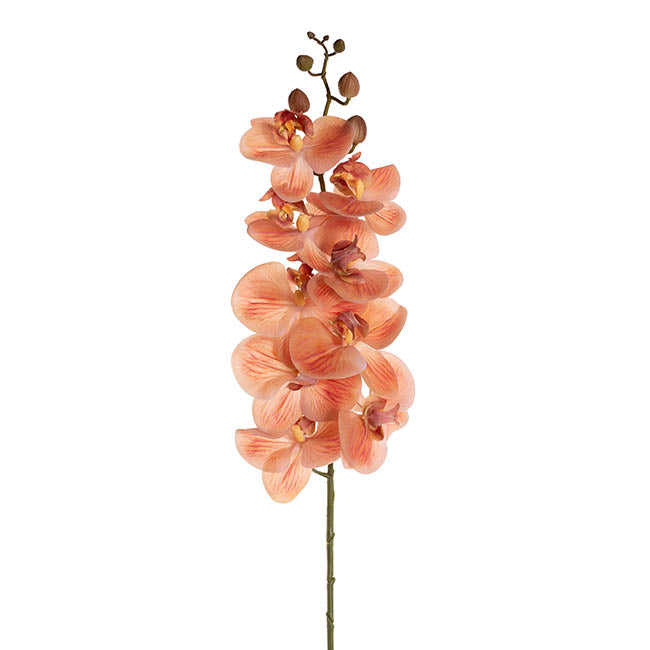 Real Touch 9 Head Phalaenopsis Orchid Stem Vermillion(81cmH)