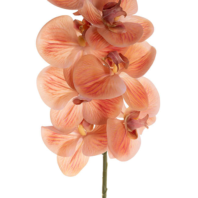 Real Touch 9 Head Phalaenopsis Orchid Stem Vermillion(81cmH)