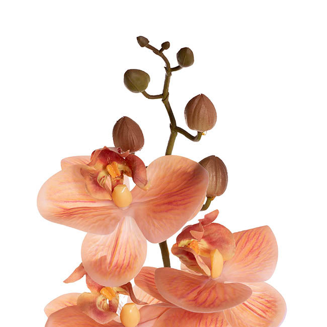 Real Touch 9 Head Phalaenopsis Orchid Stem Vermillion(81cmH)