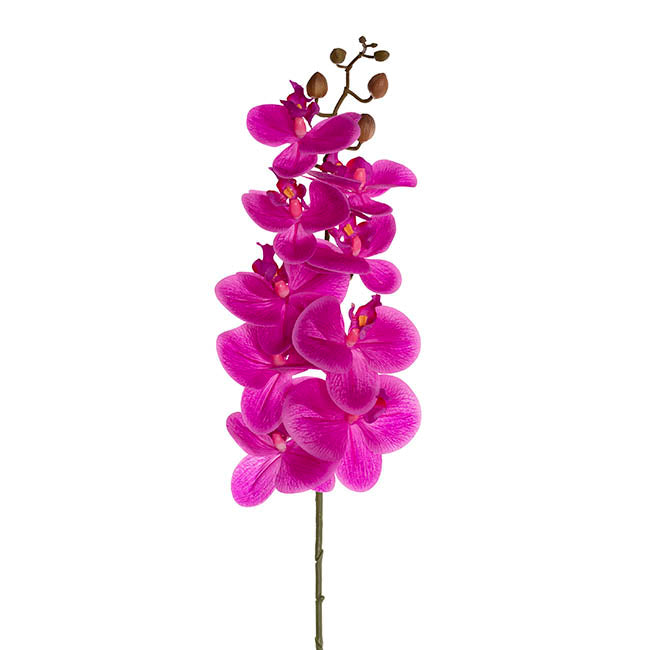Real Touch 9 Head Phalaenopsis Orchid Stem Magenta (81cmH)