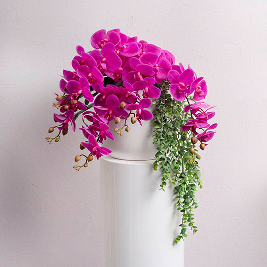 Real Touch 9 Head Phalaenopsis Orchid Stem Magenta (81cmH)