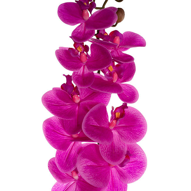 Real Touch 9 Head Phalaenopsis Orchid Stem Magenta (81cmH)