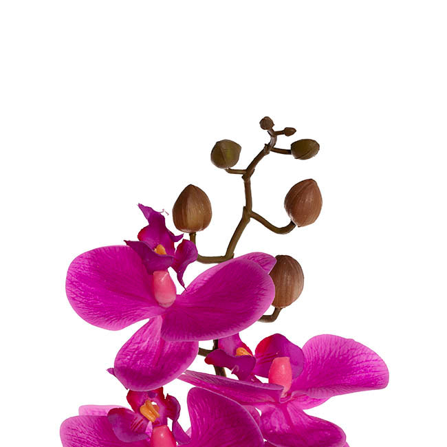 Real Touch 9 Head Phalaenopsis Orchid Stem Magenta (81cmH)