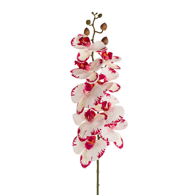 Real Touch 9 Head Phalaenopsis Orchid White Fuchsia (81cmH)