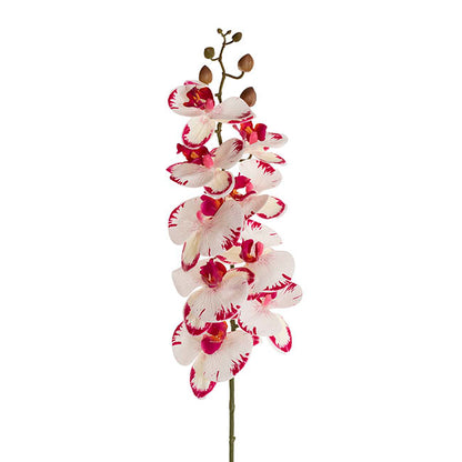 Real Touch 9 Head Phalaenopsis Orchid White Fuchsia (81cmH)