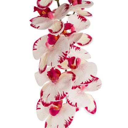 Real Touch 9 Head Phalaenopsis Orchid White Fuchsia (81cmH)
