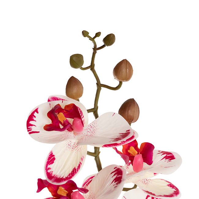 Real Touch 9 Head Phalaenopsis Orchid White Fuchsia (81cmH)