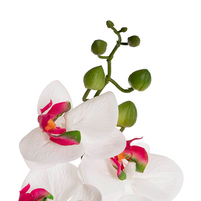 Real Touch 9 Head Phalaenopsis Orchid Stem White (81cmH)