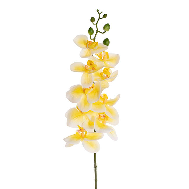 Real Touch 9 Head Phalaenopsis Orchid Stem Yellow (81cmH)