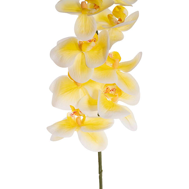 Real Touch 9 Head Phalaenopsis Orchid Stem Yellow (81cmH)