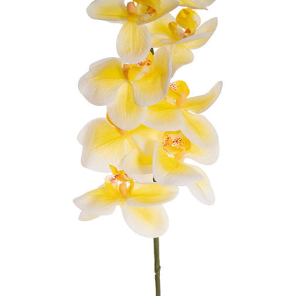 Real Touch 9 Head Phalaenopsis Orchid Stem Yellow (81cmH)