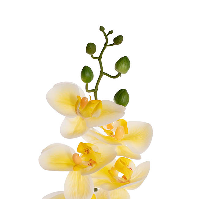 Real Touch 9 Head Phalaenopsis Orchid Stem Yellow (81cmH)